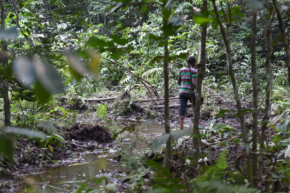 Wet trails