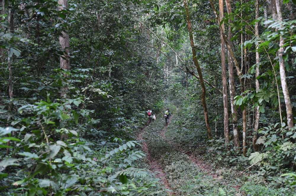 Walking on the Saint Francois Road