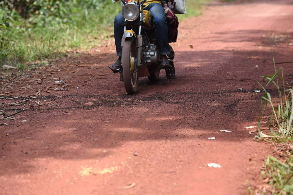 Motorbike running over ants