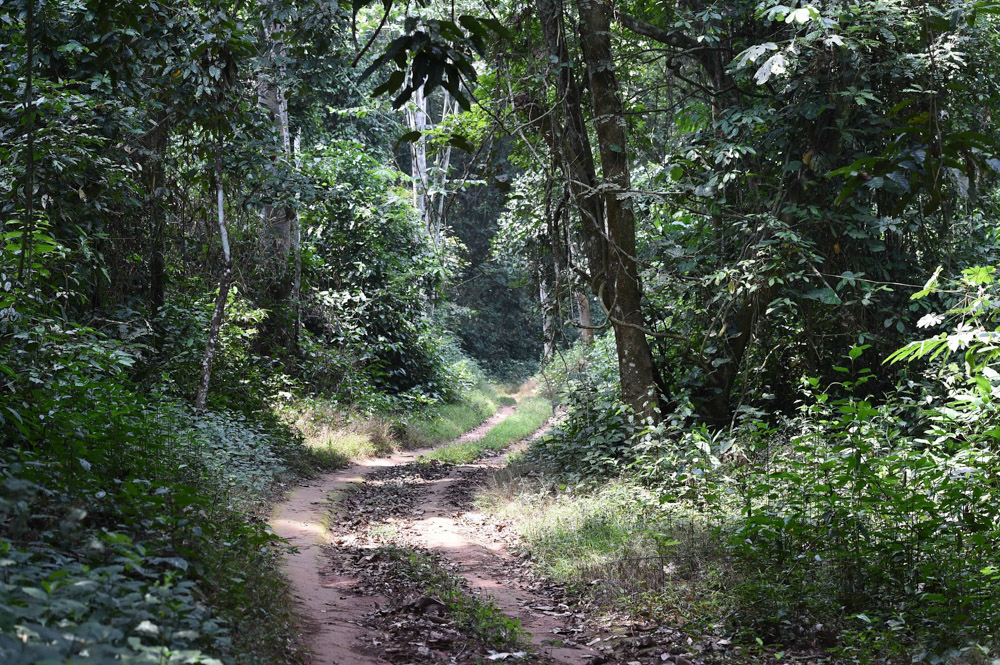 The Sangha Road