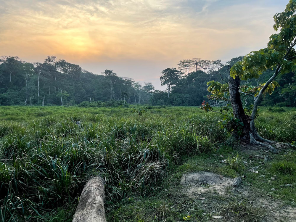 Sunset in a bai